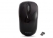 Everest DLM-360 Siyah Optik Kablosuz Mouse