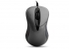 Everest SM-115 Usb Gri Optik Mouse