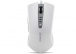 Everest SM-611 Usb Beyaz/Gri Oyun Mouse