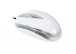 Everest SP-T09 PS/2 Siyah Lks Optik Mouse